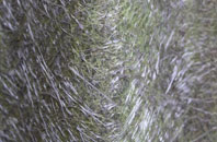 St George fibreglass roof work